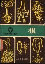 根