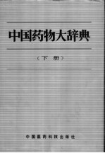 中国药物大辞典 下