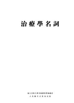 治疗学名词 副编