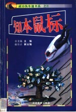知本鼠标