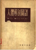 人体解剖图谱 第4版
