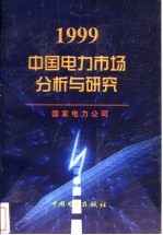 1999中国电力市场分析与研究
