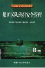 煤矿区队班组安全管理 B类