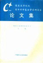煤炭高等院校青年科学基金学术研讨会论文集