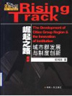 崛起之路 城市群发展与制度创新