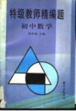 特级教师精编题 初中数学