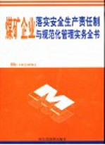 煤矿企业落实生产责任制与规范化管理实务全书 第3卷