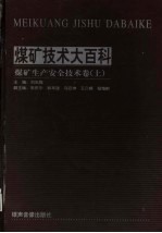 煤矿技术大百科 煤矿生产安全技术卷 上