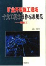 矿业开采施工现场十大工技术操作标准规范 爆破工