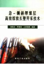 急－倾斜厚煤层高效综放长壁开采技术