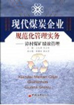 现代煤炭企业规范化管理实务 漳村煤矿绩效管理