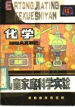 儿童家庭科学实验 化学