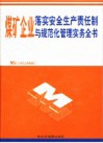 煤矿企业落实生产责任制与规范化管理实务全书 第4卷