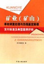矿业 矿山 事故调查处理与伤残鉴定赔偿支付标准及典型案例评析 第4卷