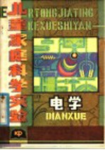 儿童家庭科学实验 电学