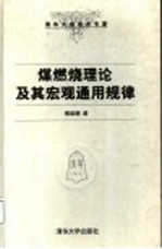 煤燃烧理论及其宏观通用规律