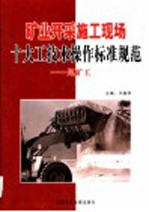 矿业开采施工现场十大工技术操作标准规范 尾矿工