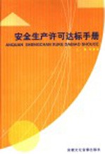 安全生产许可达标手册 第2卷