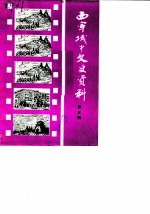 西宁城中文史资料 第3辑