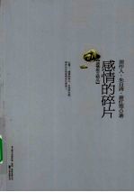 感情的碎片