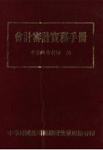 会计审计实务手册