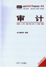 审计 最新版