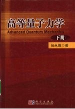 高等量子力学 下