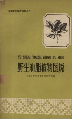 野生油脂植物图说