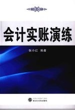会计实账演练