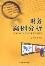 财务案例分析