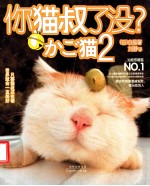 你猫叔了没? 2