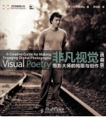 非凡视觉 摄影大师的构思与创作 典藏版 彩印