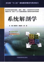 系统解剖学