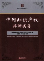 中国知识产权律师实务