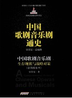 中国歌剧音乐剧生存现状与战略对策 咨询报告书