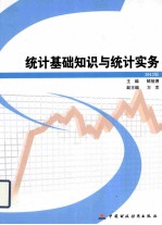 统计基础知识与统计实务 2012版
