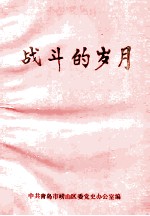 战斗的岁月