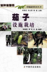 茄子设施栽培