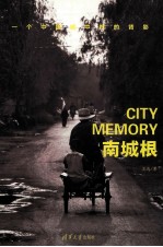 南城根 一个中国城中村的背影