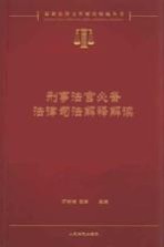 刑事法官必备法律司法解释解读 上