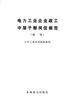 电力工业企业政工中层干部岗位规范(试行)