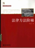 法学名师讲堂 法律方法阶梯