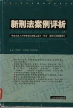 新刑法案例评析 上