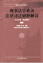 刑事法官必备法律司法解释解读 下
