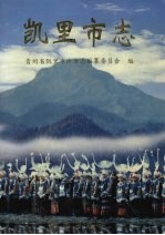 凯里市志 上