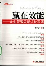 赢在效能:企业管理效能评价实务