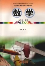 数学 九年级 (上册)