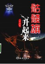 骷髅旗升起来