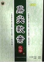 鼎尖教案 化学 苏教版 （上册）