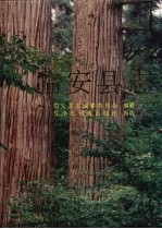 临安县志